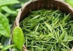 800cc全讯白菜网主站-800cc全讯白菜网大全网址